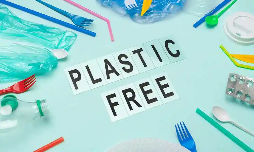 Plastic Free Kenmare Bay Hotel